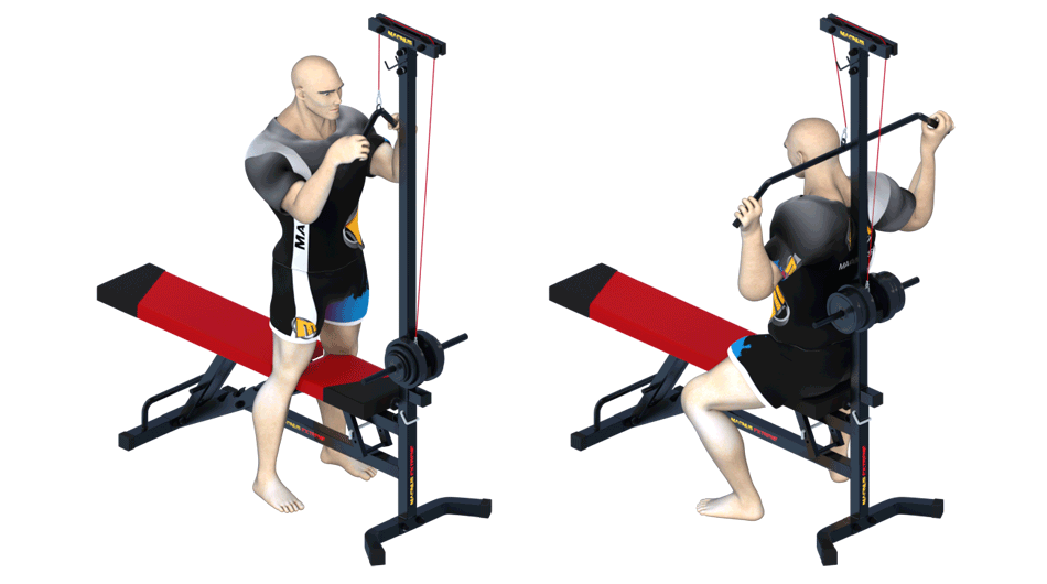 pulley exercises for a stronger back and arms