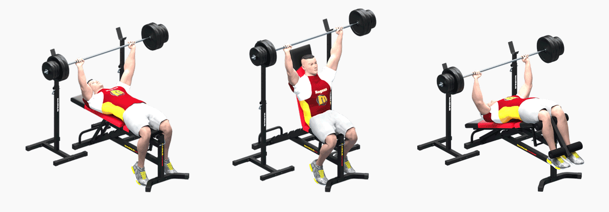 Training on barbell stands with weight suspension from Magnus