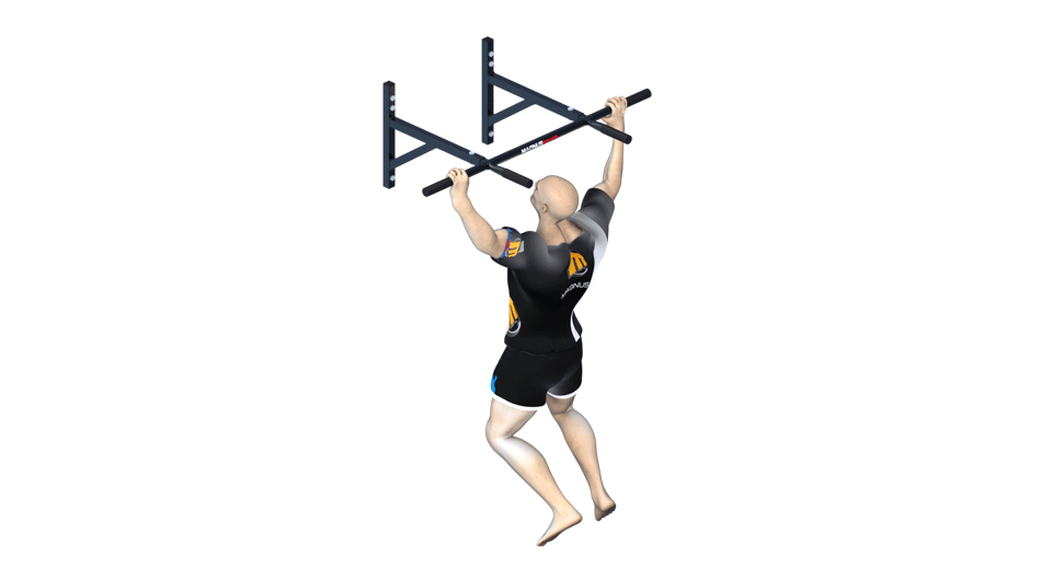 abs and legs training with Magnus pull up bars