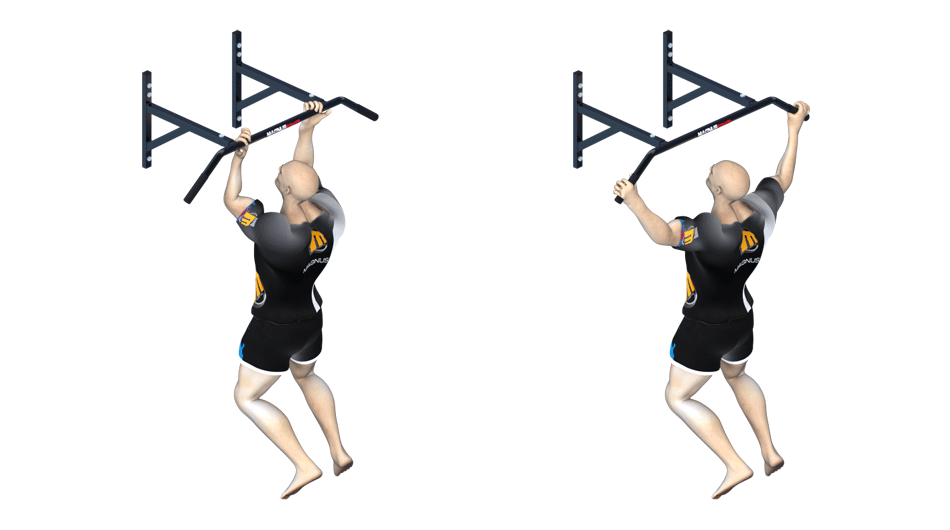 train your biceps muscles with boxer pull ups on Magnus chin up bars