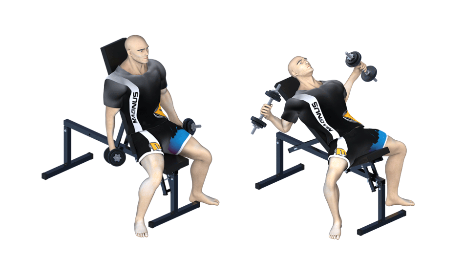 arms and chest training with dumbbells on Magnus bench