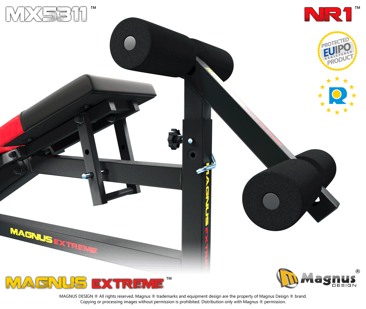 Safe abs exercises with gym equipment from Magnus