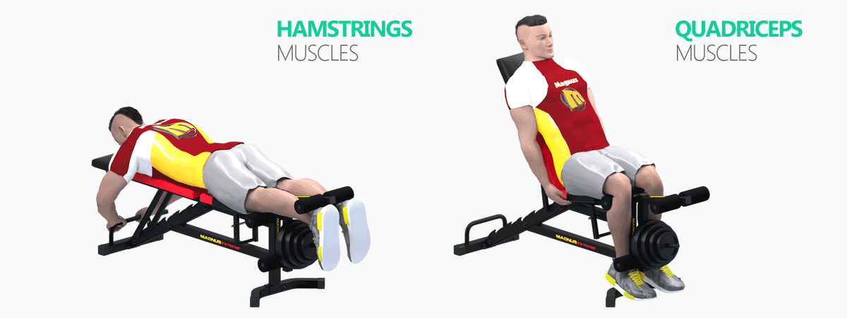 Leg muscle training attachment, do legs,
legs are the basis of a strong figure