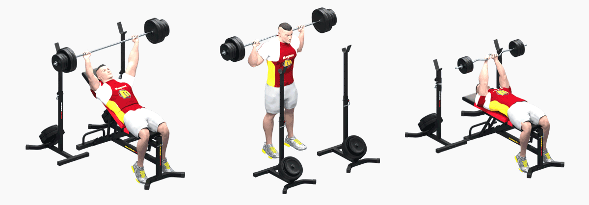Exercises with training stands with weight amortization from Magnus