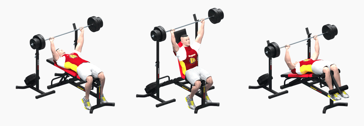 Training on barbell stands with weight suspension from Magnus